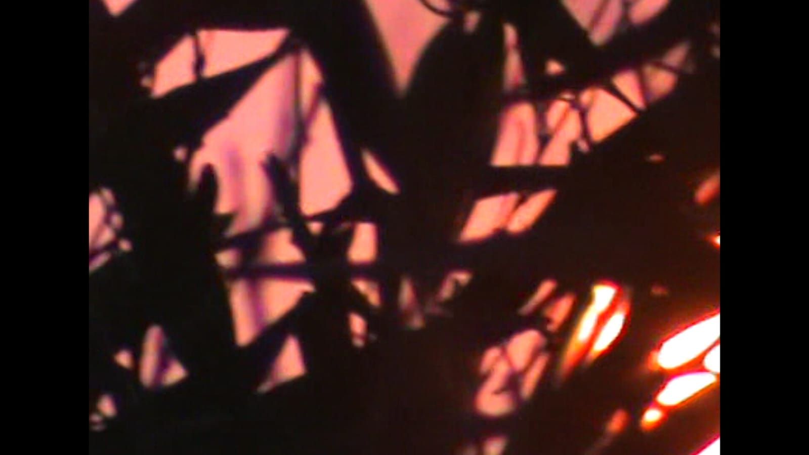 AND WHAT NOW? - Image 3